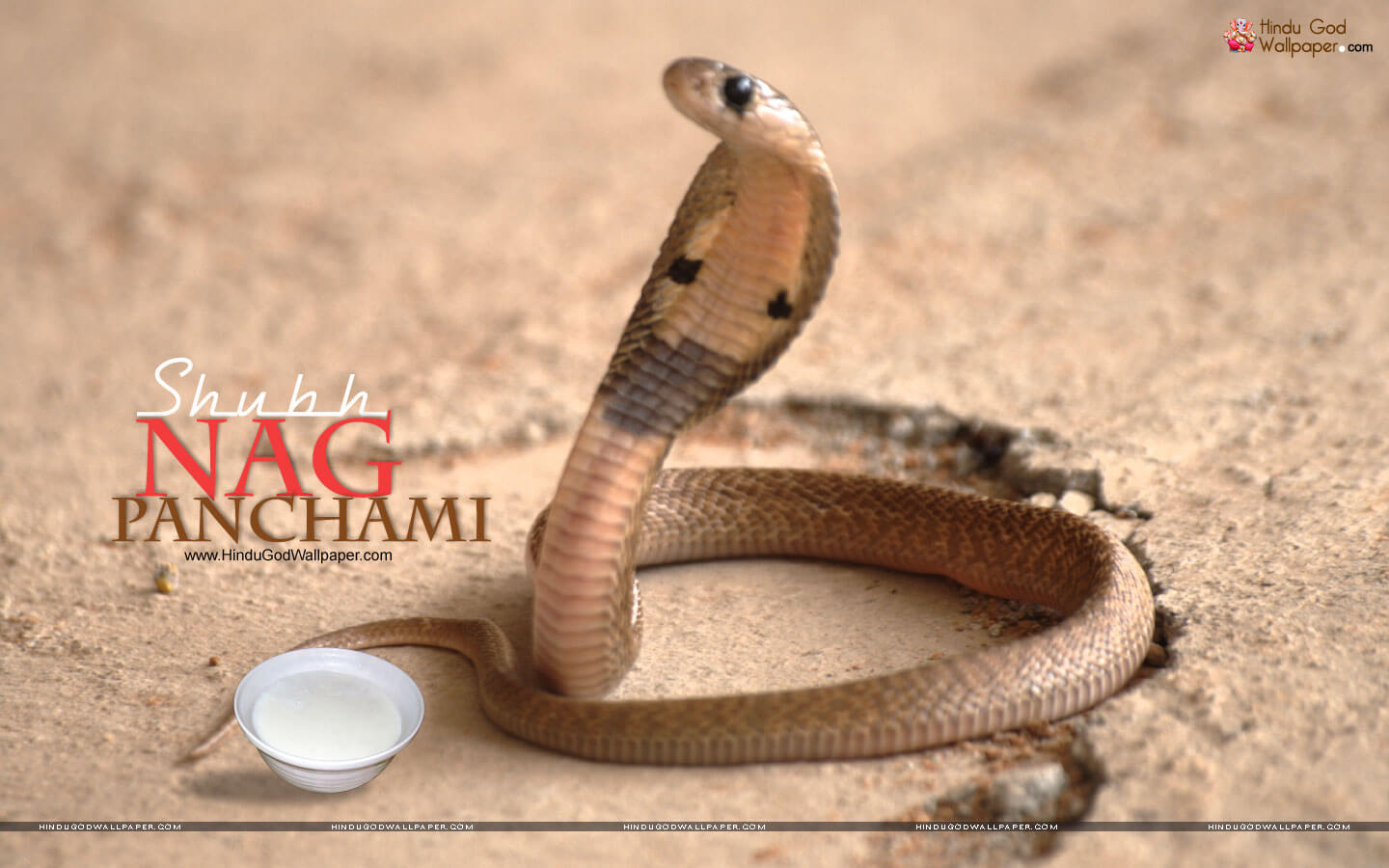 nag panchami wishes wallpaper